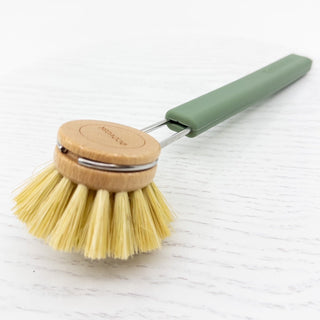 Dish Brush Tampico - Sage