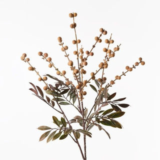 Longan Spray