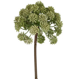Allium 98cm Green